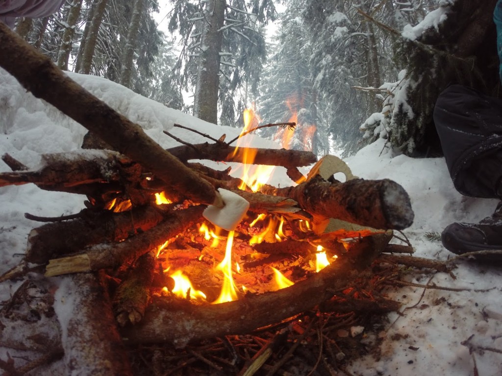 camp-hiver-2014-2